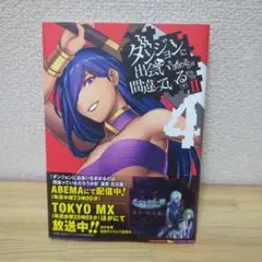ダンジョンに出会いを求めるのは間違っているだろうかII(4)