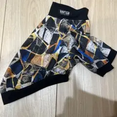 Item thumbnail for item 8e1d7708-a41d-4efd-95b6-0a1f10f64db7