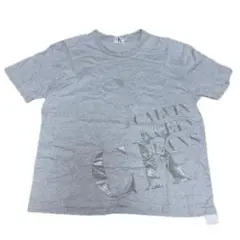 Calvin Klein Jeans Tシャツ