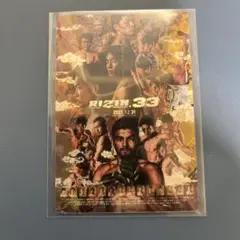 RIZIN ポテトスティック　No.13