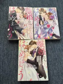 離婚からはじめましょう 1-3巻セット
