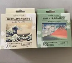 大人用ジグソーパズル 300ピース 2点セット