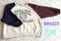 Item thumbnail for item 6e97ca4f-8302-4785-9383-f8e336a44bfb