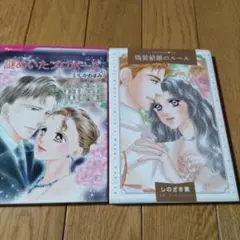 謎めいたプロポーズ　偽装結婚のルール