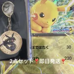 JR東日本 ポケモンスタンプラリー2025 黒いレックウザ　スペシャルメダル