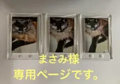 まさみ様　専用ページです。