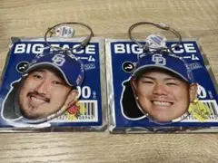 中日ドラゴンズ BIGFACEワイヤーチャーム