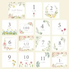 ましかく　マンスリーカード　月齢カード　アルバス　アルバム　花No.2