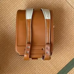 Item thumbnail for item 5704c6f9-16b7-4445-a1d1-2ebf8468bc1f