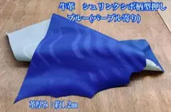 Item thumbnail for item b7d58733-95ef-4cd0-b9e5-7a647c18ea94