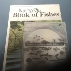 サカナクション 魚図鑑 【完全生産限定プレミアムBOX】 (3CD+魚大図鑑)