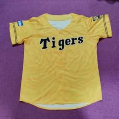 タイガース　半袖シャツ！