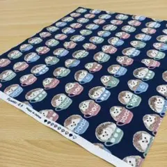 ★B559★ メイドインジャパン/ブランド/プリント生地/50cm