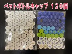 【工作・ハンドメイドに♪】ペットボトルキャップ　１２０個　白・青・緑系