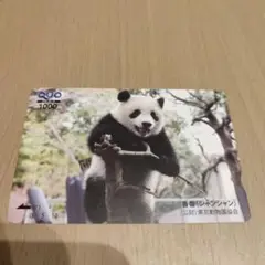 QUOカード使用済み シャンシャン