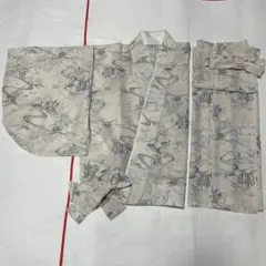 美品 うすいベージュ系 紗の二部式着物 超ブーム
