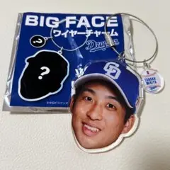 BIGFACEワイヤーチャーム 田中幹也 中日ドラゴンズ