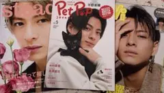 平野紫耀 雑誌 まとめ① ３冊　steady PetPop ViVi