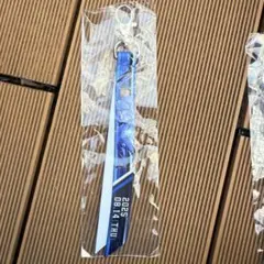 中村剛也 西武 ライオンズ ガチャ 缶バッジ キーホルダー ボンフィン
