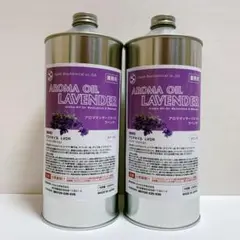 Item thumbnail for item 1393aa0e-7714-4201-bdc7-c7898a77dca0