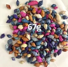 ナサシェル（小さな巻貝）シェルパーツ【約1.0～1.5㎝】67g