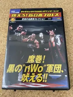 新日本プロレス 激闘！nWo軍団　DVD