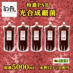 【免疫強化水質浄化】4倍濃縮 光合成細菌(PSB)5.0L クロレラ好相性AJ