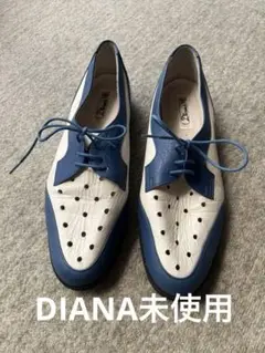 ダイアナ25センチ未使用