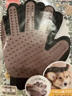 Item thumbnail for item 9300f381-79b8-4bc6-8c68-e33dee1b53b2