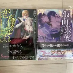 TL小説 ソーニャ文庫　2冊