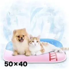 Item thumbnail for item b57c8b33-623a-42a1-bd4e-62926d5ad30a