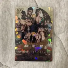RIZINポテトスナックカードコレクションNo.21 超RIZIN2