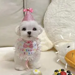 Item thumbnail for item c78cf5b7-cca5-4b0e-b3d4-e4567241c510