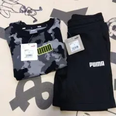 PUMA プーマ 新品 Tシャツ & ショートパンツ セット 116