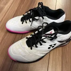 Item thumbnail for item a4c0c9e9-2ef5-4e74-bc77-4f1739d3327e