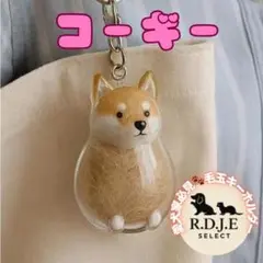 Item thumbnail for item e7b2a1e4-f249-4926-b4ed-1e57c1e7c22d