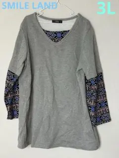 Item thumbnail for item ab53571a-3760-441b-b74d-4311e62d6664