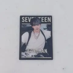 seventeen ジョンハン グミ ステッカー