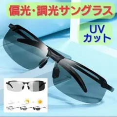 Item thumbnail for item de74bb36-036c-4664-9113-b7ebd5e457a6