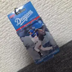 中日ドラゴンズ　ブライト健太　ブリスタズ
