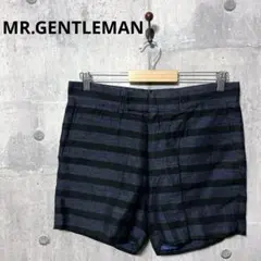 MISTER GENTLEMAN free your mind パンツ undo-rowa_jl01784