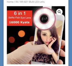 Item thumbnail for item 063318db-6523-40df-a754-74f263ffcfa0