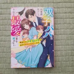 双子パパは今日も最愛の手を緩めない～再会したパイロットに全力で甘やかされていま…