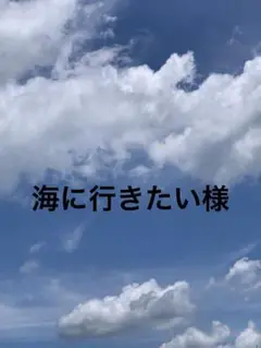 海に行きたい様 リクエスト 2点 まとめ商品