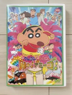 クレヨンしんちゃん　踊れアミーゴ　DVD