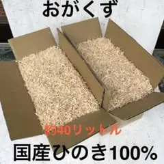 Item thumbnail for item 67542a53-2de6-4947-a6b7-fe6ef5e823b5