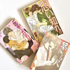 佐倉ハイジ まとめ この手でよければ BL コミック 漫画 ボーイズラブ 初版