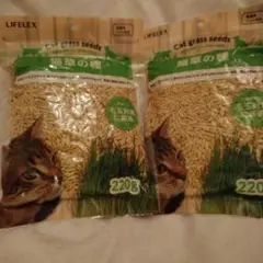 Item thumbnail for item 804da076-af12-4826-becc-9746cb4a20b2