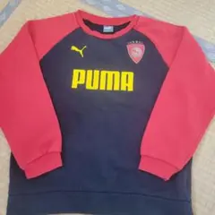 PUMA ネイビー/レッド トレーナー