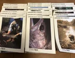フライの雑誌　17冊 まとめ売り
